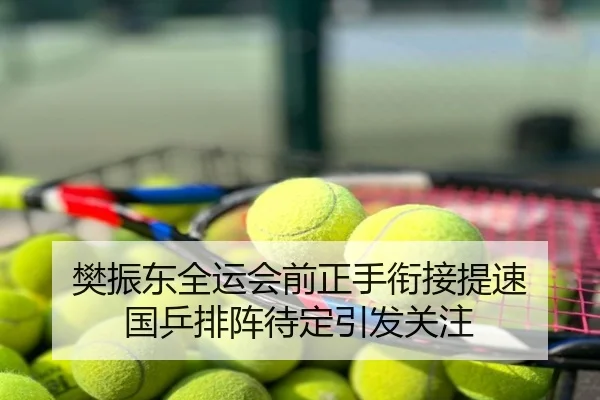 樊振东全运会前正手衔接提速 国乒排阵待定引发关注